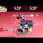 世青赛圆满,落幕,国球荣耀再,米兰体育官网,米兰体育App,米兰体育登录,米兰体育直播,米兰体育平台